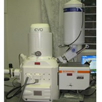 Microscopio elettronico con sonda RAMAN