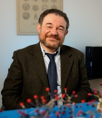 Prof. Stefano Zacchini